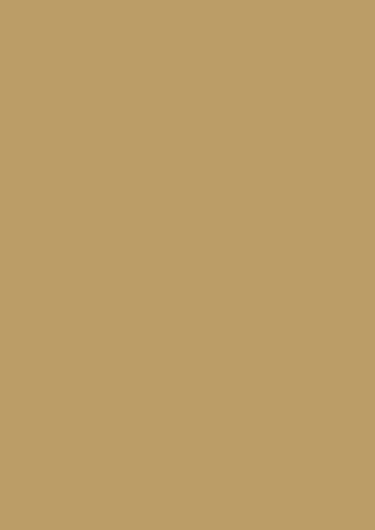 Farrow and Ball Duster No. 319