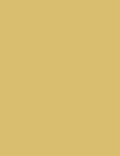 Straw No. 52 Archive Collection