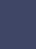 Blue Maize  No.CB11