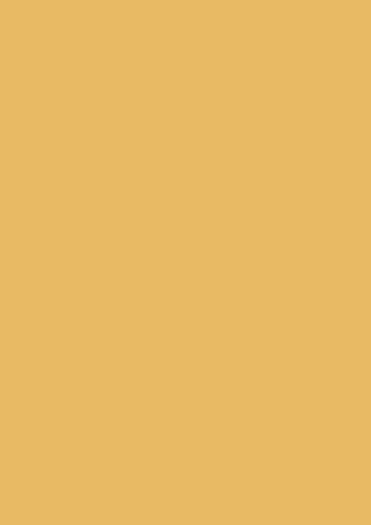 Babouche No 223