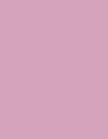 Shallot No.CB3