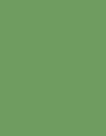 Raw Tomatillo  No.CB6