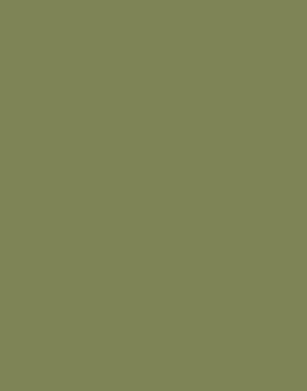 Sap Green No. W56