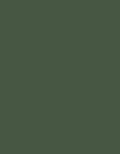 Duck Green No. W55 Archive Collection