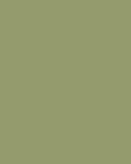 Olive No. 13  Archive Collection