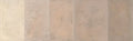 SkimStone Neutral Color Pak - Oystershell - 4oz
