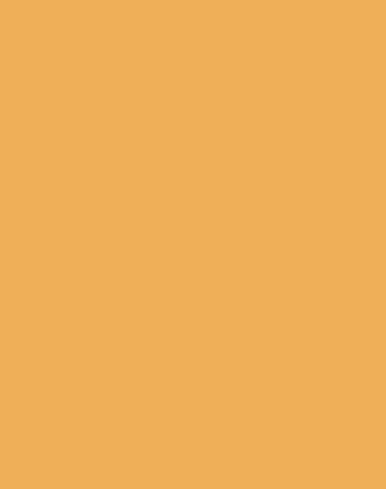 Dutch Orange No. W76 Archive Collection