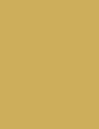 Print Room Yellow No. 69 Archive Collection