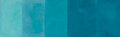 SkimStone Accent Color Pak - Peacock Green - 4oz