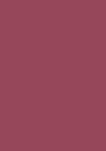 Radicchio No.96 Archive Collection