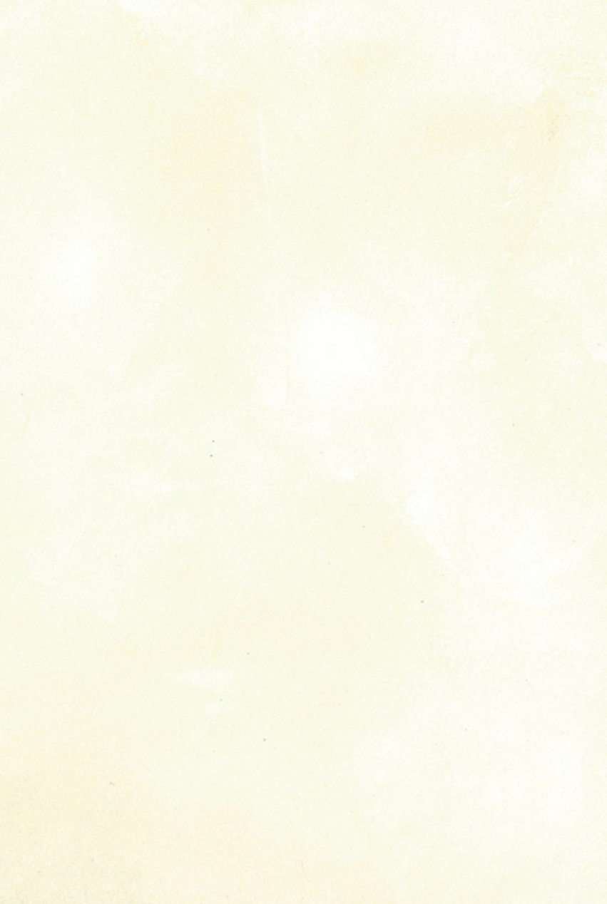 LusterStone Tinting Base