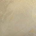 Firmolux Milano Metallic Gold Italian lime plaster