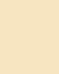 Orange Coloured White No. W5 Archive Collection