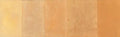 SkimStone Accent Color Pak - Yellowstone - 4oz